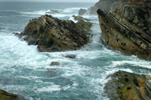 Oregon Coast